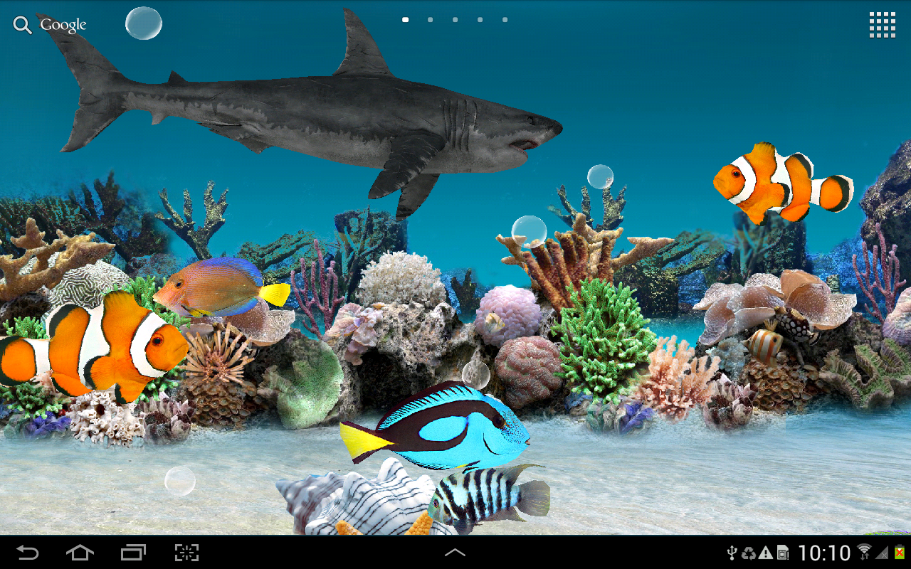 Free live fish aquarium screensaver - aukurt