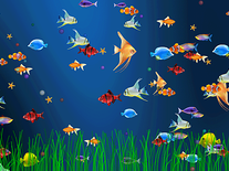 free live fish aquarium screensaver